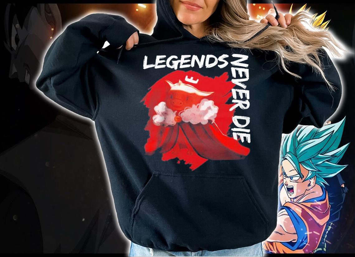 RIP Technoblade Pray For Legends T-Shirt t-shirt hoodie