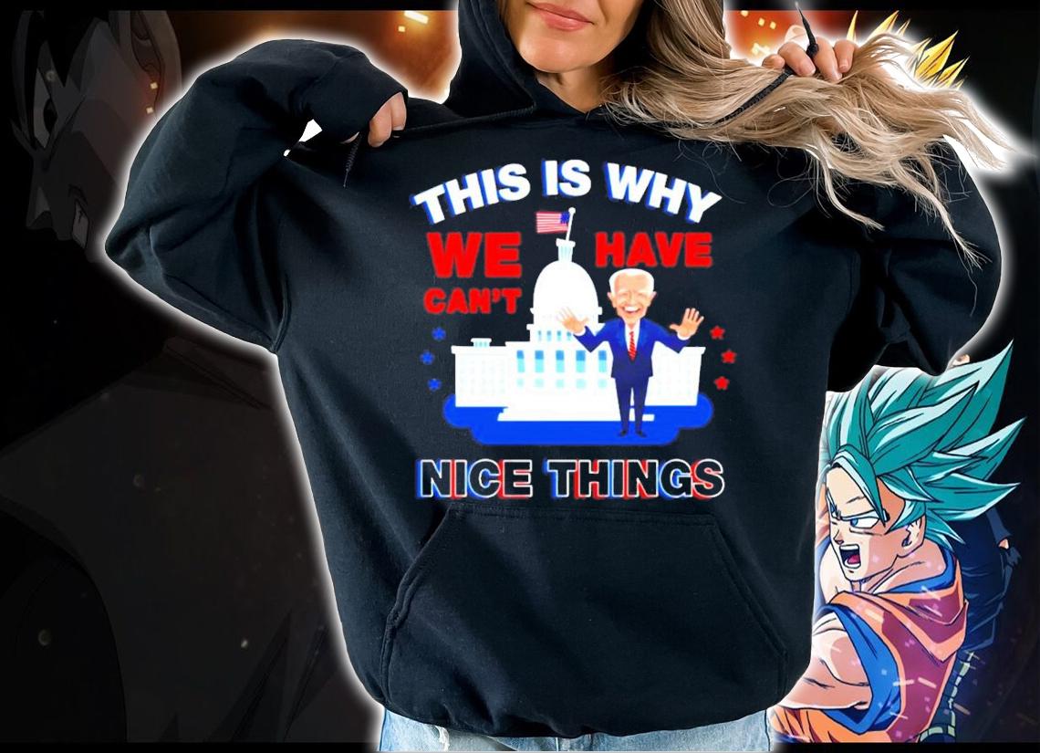 Joe Biden this is why we have cant nice things shirt hoodie