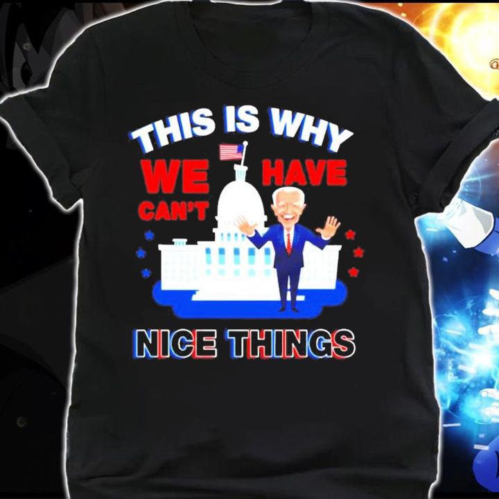 Joe Biden this is why we have cant nice things shirt shirt